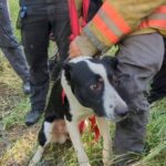 "Triunfo de la solidaridad: heroicismo salvador para un pequeño héroe atrapado en el abismo"