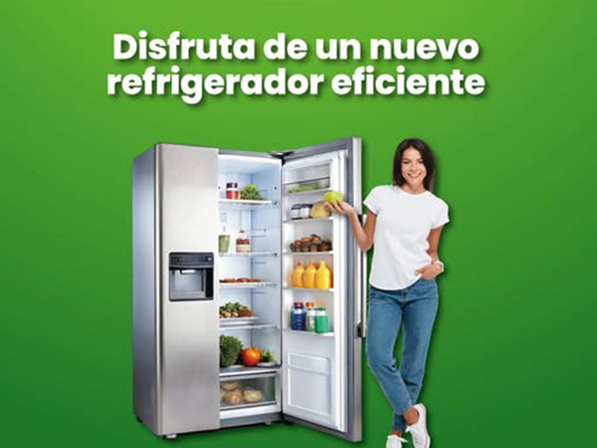 Descubre los detalles de las promociones del mes: ¡Estrenos refrigerador y lavavajillas sin coste adicional por parte de la Comisión Federal de Electricidad en octubre!