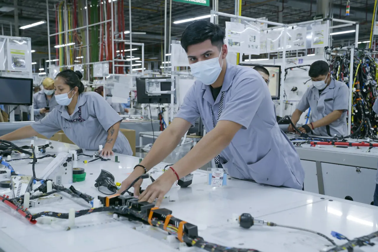 El mercado laboral termina 2025 con un balance favorable, a pesar de una caída brusca en ocupaciones al final del año.