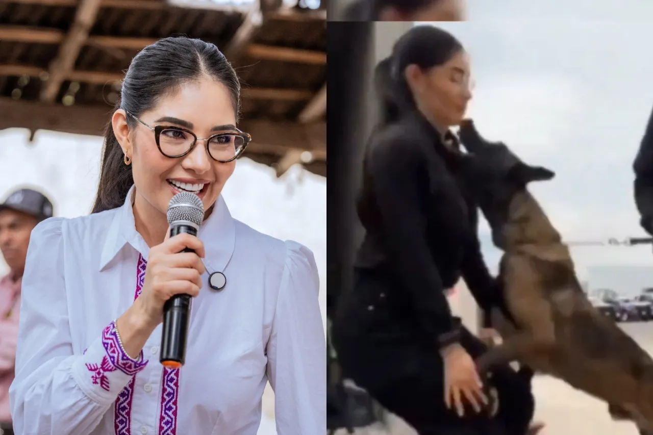 "Un gesto agresivo desborda la normalidad: un perro policía salta sobre la alcaldesa de Tepic, Geraldine Ponce, y genera alarmas en la comunidad política"