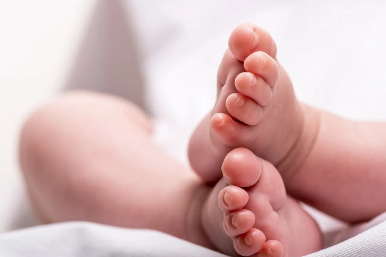 Trágico descubrimiento en la ciudad: un bebé nace y muere horas después en un contenedor de basura, revelando una triste realidad sobre el abandono y la indiferencia.