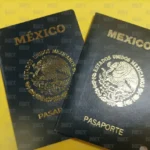 "La autoridad migratoria sufre un revés: licitación para emitir pasaportes cae en descrédito por irregularidades"